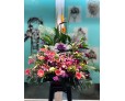 開張祝賀花籃 M11