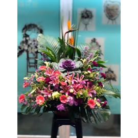 開張祝賀花籃 M11