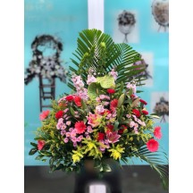 開張祝賀花籃 M17