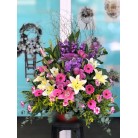 開張祝賀花籃 M19